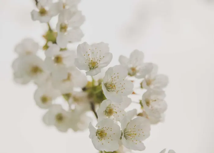 Korum Holiday home Bergerac